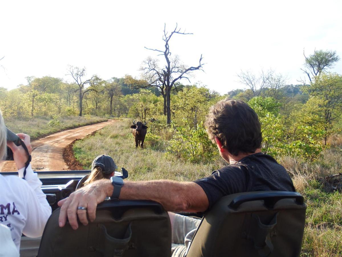 Ndzuti Bush Camp Hotel Balule Game Reserve Exterior photo