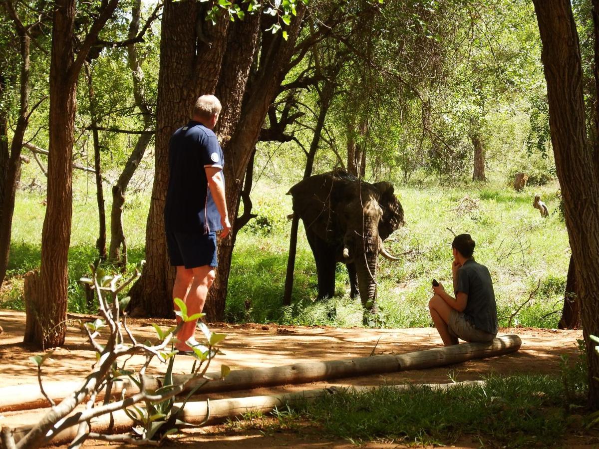 Ndzuti Bush Camp Hotel Balule Game Reserve Exterior photo