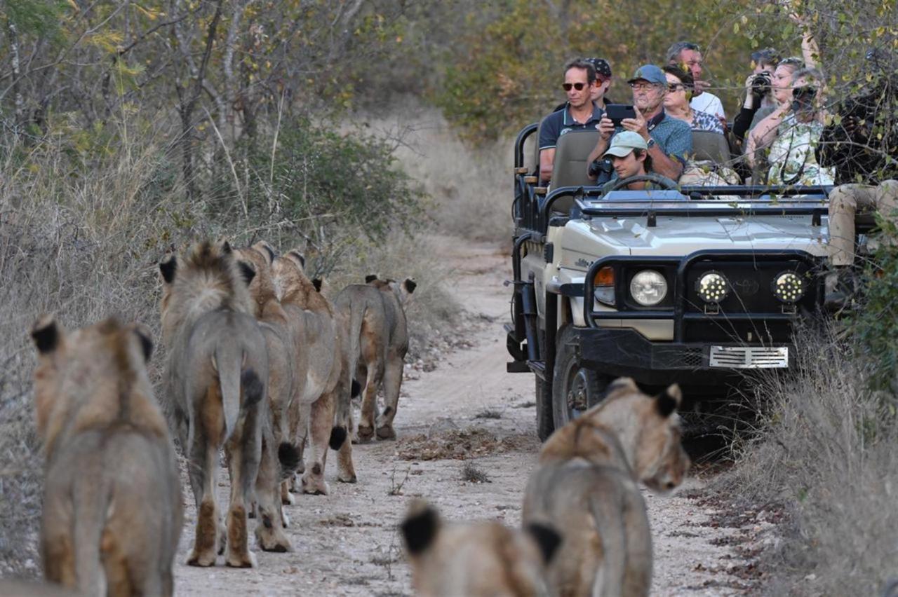 Ndzuti Bush Camp Hotel Balule Game Reserve Exterior photo