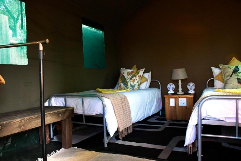 Ndzuti Bush Camp Hotel Balule Game Reserve Exterior photo