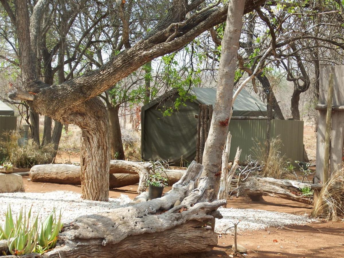 Ndzuti Bush Camp Hotel Balule Game Reserve Exterior photo
