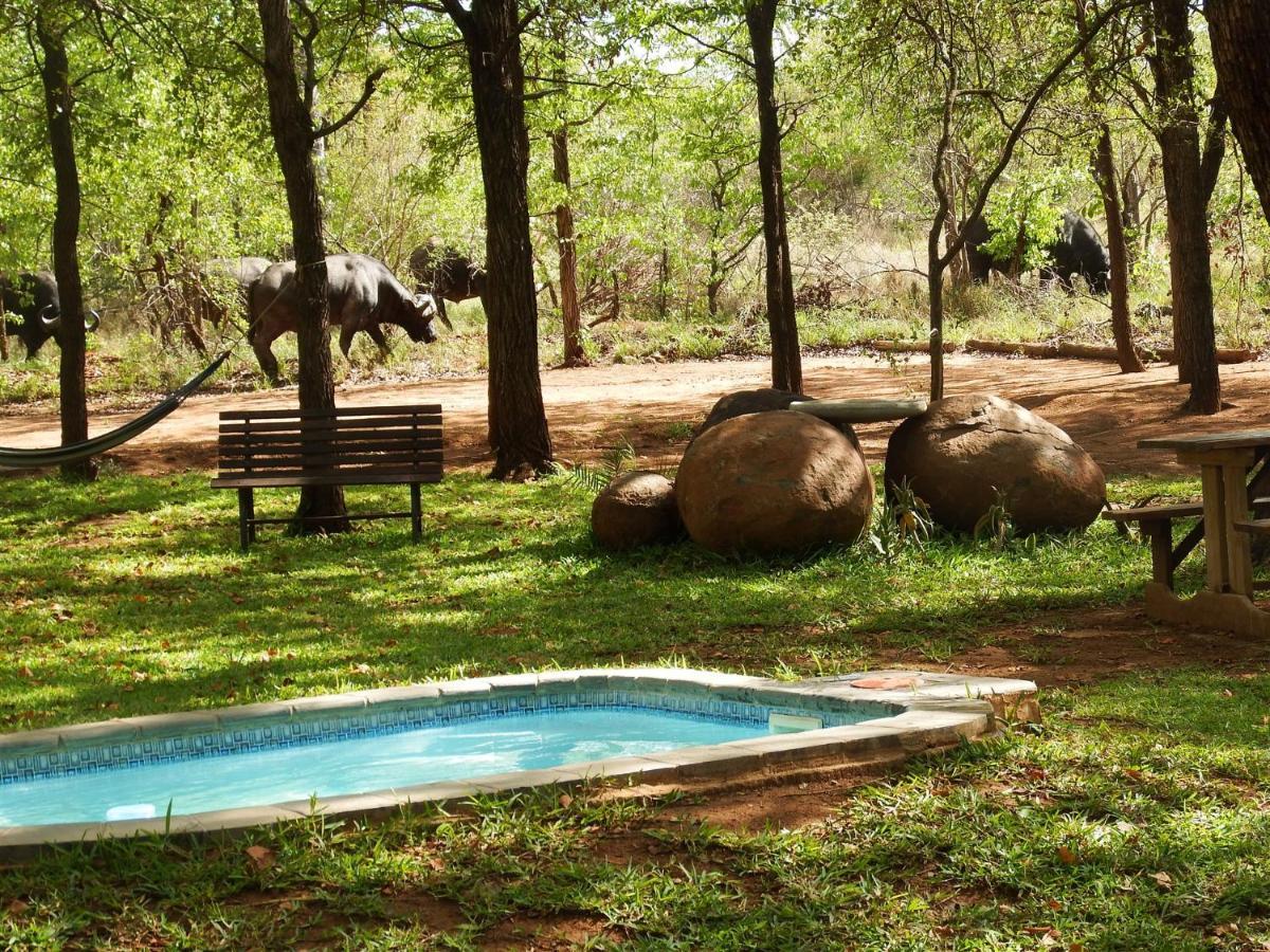 Ndzuti Bush Camp Hotel Balule Game Reserve Exterior photo