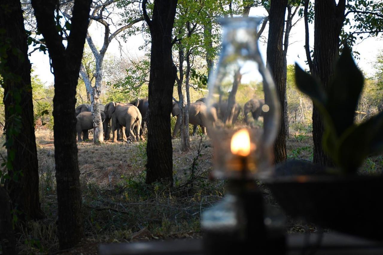 Ndzuti Bush Camp Hotel Balule Game Reserve Exterior photo