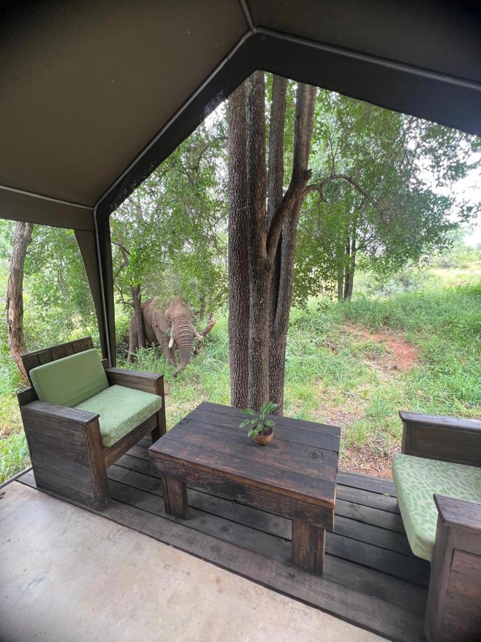 Ndzuti Bush Camp Hotel Balule Game Reserve Exterior photo